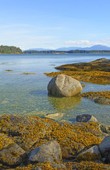 Coastal Rocks at Low Tide