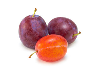Plums