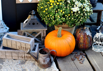 Halloween decorations with pumpkin