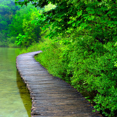 Boardwalk in the park © Laszlo