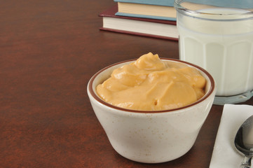Bowl of butterscotch pudding after school