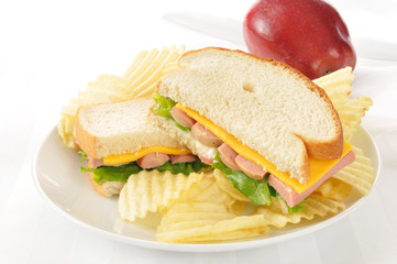 Vienna sausage sandwich on a high key background