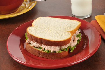 Fresh tuna sandwich
