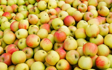 Äpfel