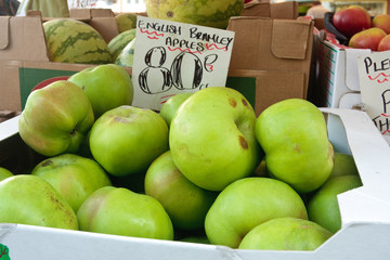 Bramley apples