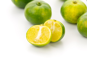 シークヮーサー