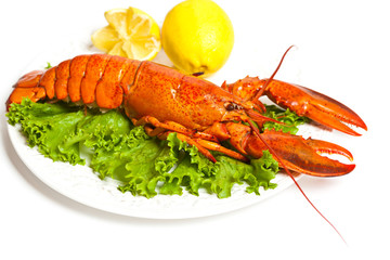 Lobster on dish