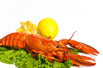 Lobster on dish