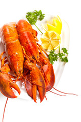 Lobster on dish with parsley and lemon slices