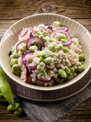 barley risotto with beans broad and onions, vegetarian food