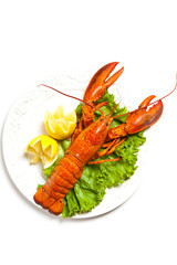 Lobster on dish