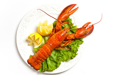 Lobster on dish