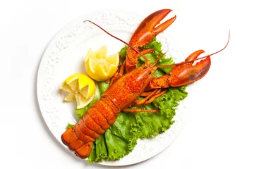 Aluminium Prints meal dishes Lobster on dish