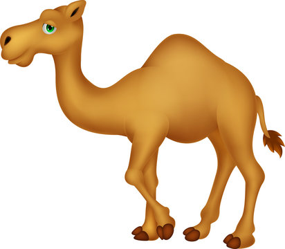 Cartoon Camel Images – Browse 17,903 Stock Photos, Vectors, and Video |  Adobe Stock