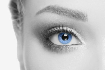 Human eye