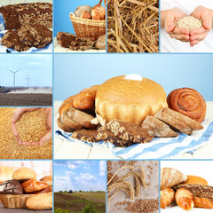 Bread and harvesting wheat collage