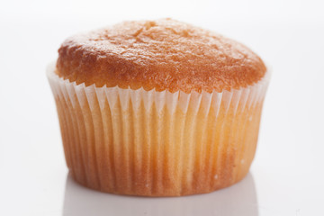 tasty muffin