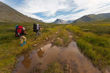 Fototapeta premium Group of hikers.