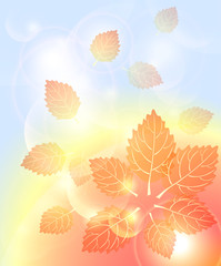 Abstract autumn background with leaves bubbles and light
