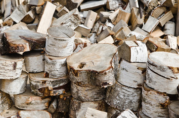 Birch fire wood, close up