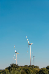 Fototapeta premium Wind mills during bright summer day