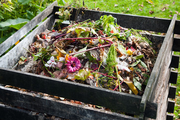 Compost bin - obrazy, fototapety, plakaty