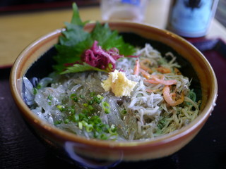 美味しい生しらす丼