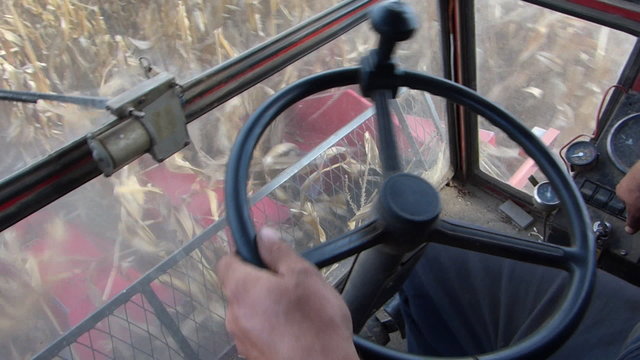 Farmer drives a combine, harvest corn