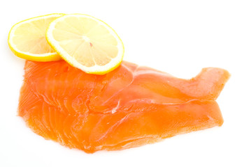 Salmon