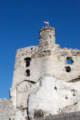 Stone castle in Poland