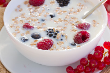 The oat flakes close up