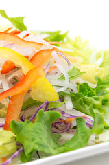 パプリカとレタスと大根のミックスサラダ