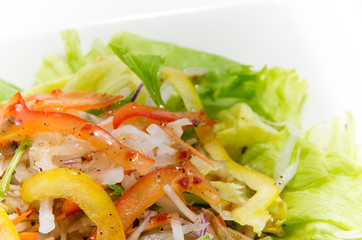 パプリカとレタスと大根のミックスサラダ