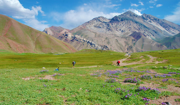 Horcones Valley, Aconcagua National Park
