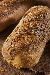 Fresh Homemade Whole Wheat Bread