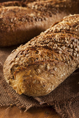 Fresh Homemade Whole Wheat Bread