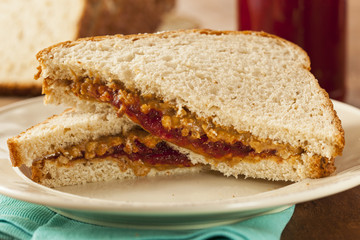 Homemade Peanut Butter and Jelly Sandwich