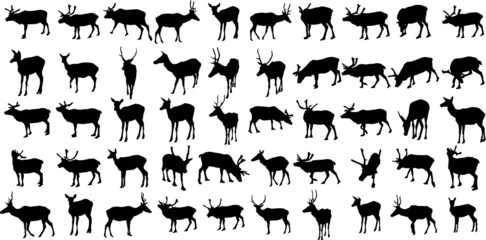 Set of 50 vector silhouettes of deer