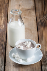 Cup of Hot Chocolate with marshmallows