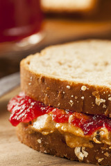 Homemade Peanut Butter and Jelly Sandwich
