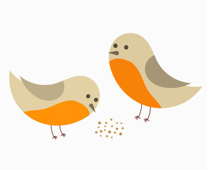 Couple of robin birds