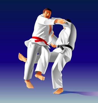 Judo_2