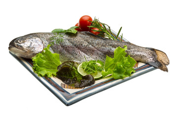 Fresh raw rainbow trout