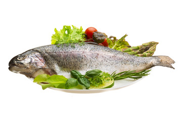 Fresh raw rainbow trout