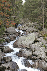 River at High Tatras mountains, Slovakia