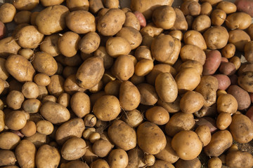 Patatas