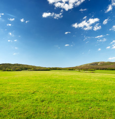 Obraz premium Field and sky