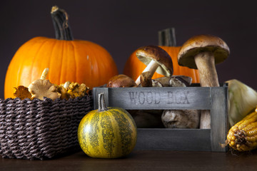 Fresh mushrooms, corn and pumpkin © BrunoWeltmann