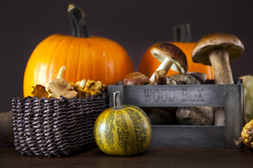 Fresh mushrooms, corn and pumpkin © BrunoWeltmann