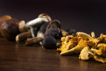 Fresh mushrooms